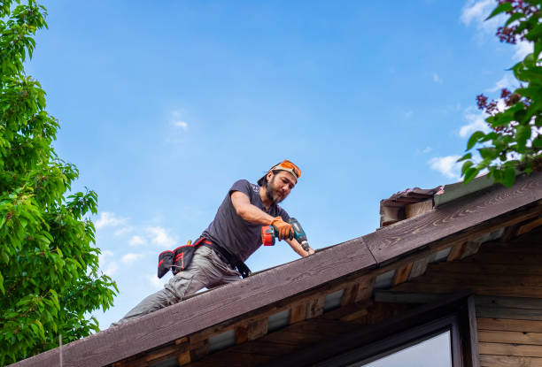 Best Roof Maintenance and Cleaning  in USA